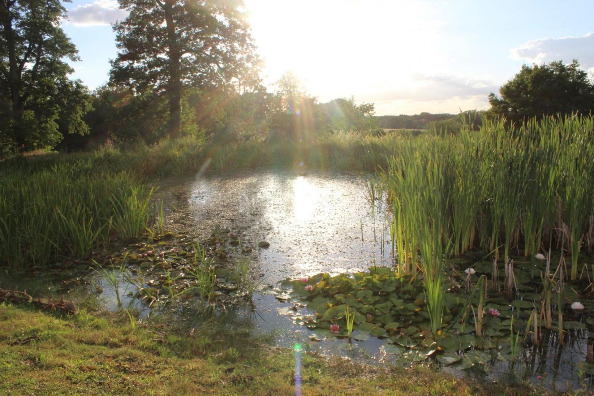 A L'ombre Des Chenes * Chateauvieux (Loir-et-Cher)