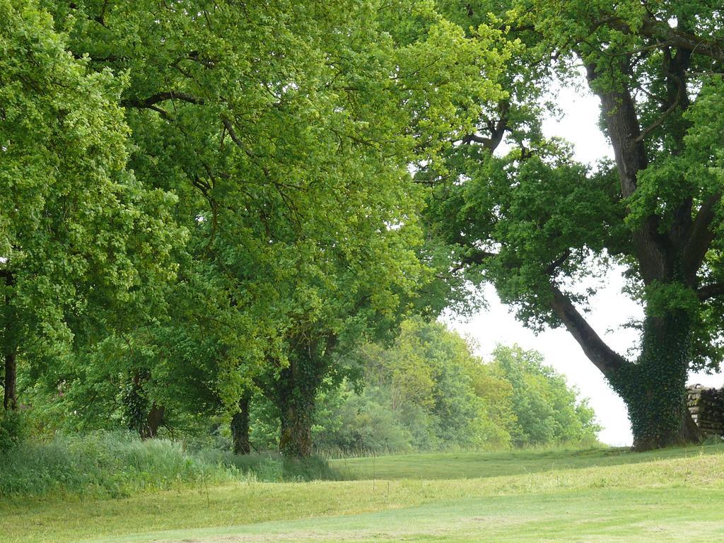 A L'ombre Des Chenes Chateauvieux (Loir-et-Cher)