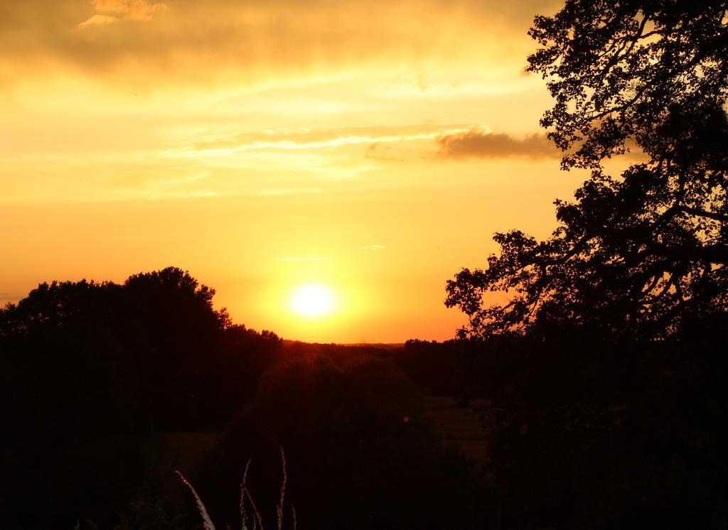 à L'ombre Des Chênes Hébergement de vacances Châteauvieux