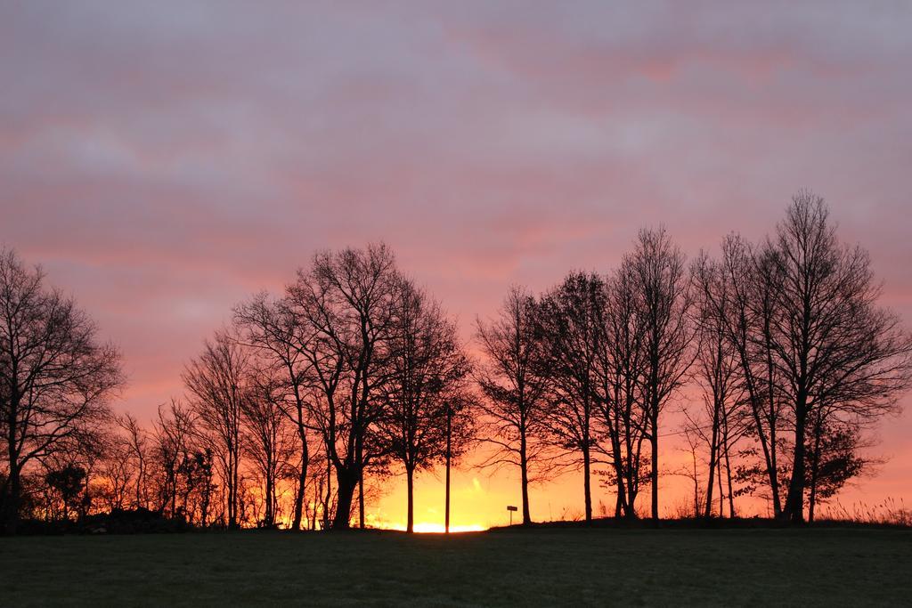 à L'ombre Des Chênes *